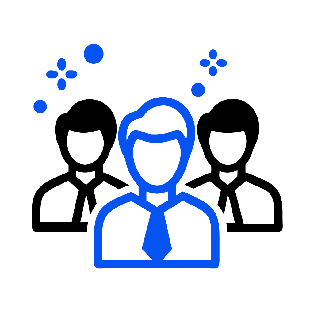 Dedicated project lead